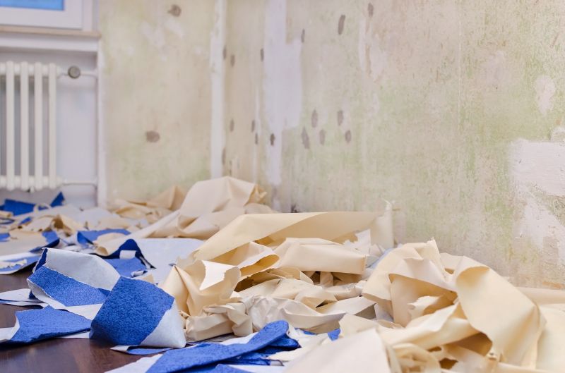 Wallpaper Removal Service