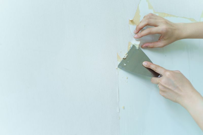 Wallpaper Stripping
